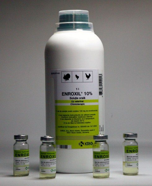  10% Enroxil in Flaschen und Ampullen