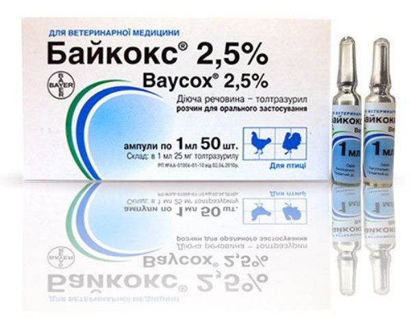  Baykoks 2,5% in Ampullen 1 ml