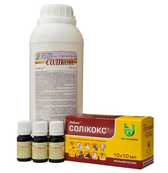  Solikox in verschiedenen Paketen