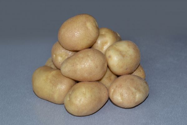  Kartoffelsorten Glück