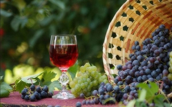  Für die Herstellung von Wein vergären geeignete Trauben jeder Sorte.